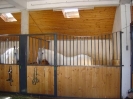 17_Pferde_im_Stall_2